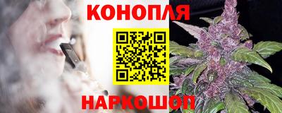 стафф Будённовск