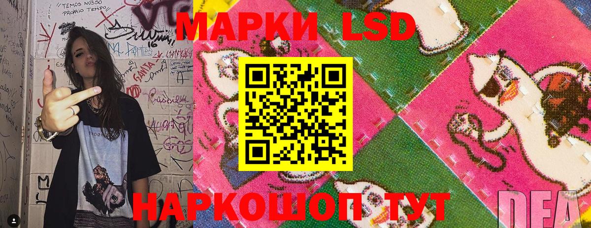 Бошки Шишки Дедовск