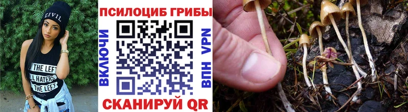 Галлюциногенные грибы прущие грибы Дедовск