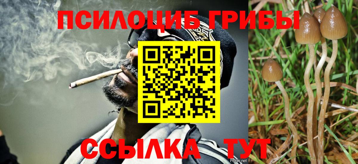 Дедовск  Галлюциногенные грибы Cubensis  Вход с VPN 