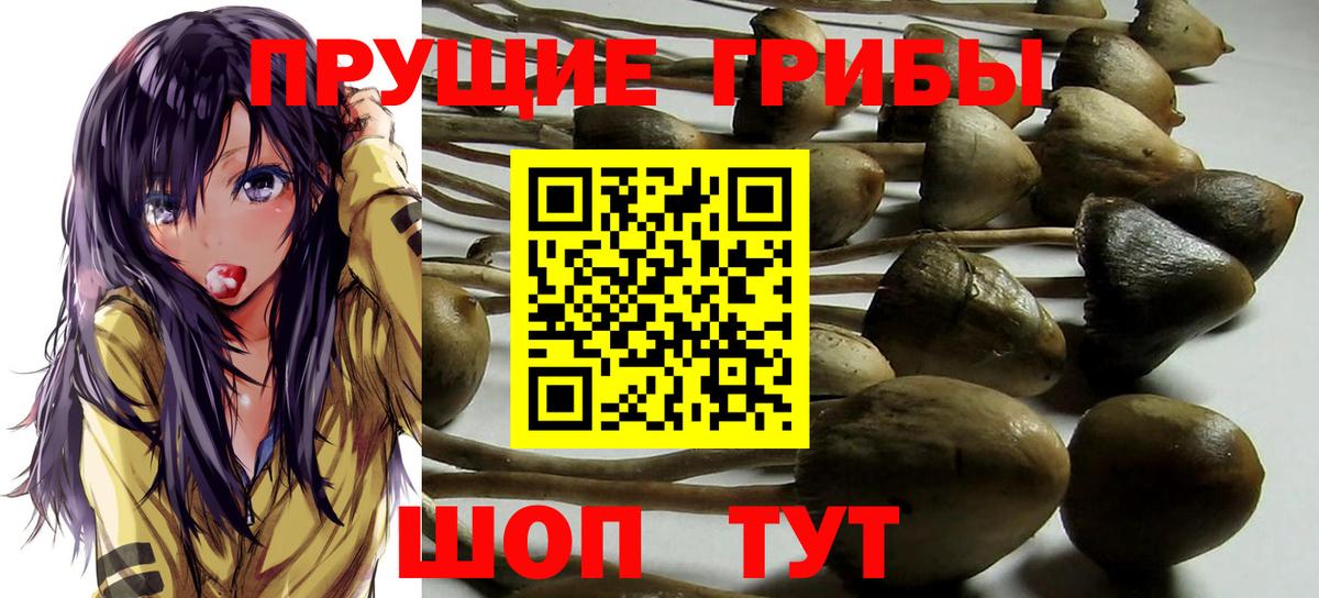 Псилоцибиновые грибы ЛСД  Дедовск 