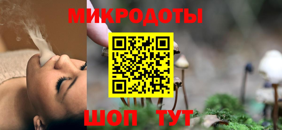 Галлюциногенные грибы Cubensis Дедовск